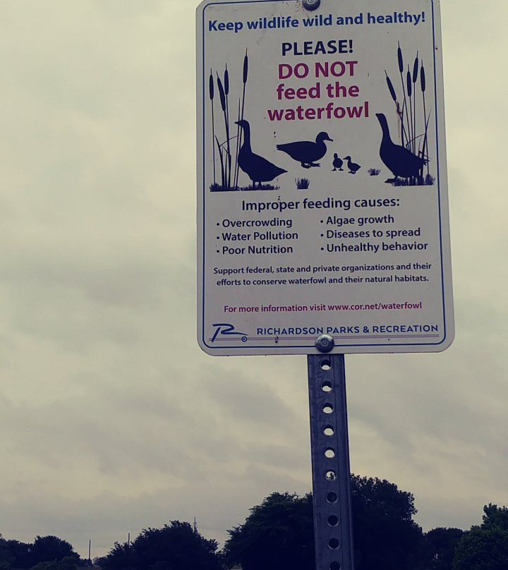 Breckinridge Park-理查森必去景点