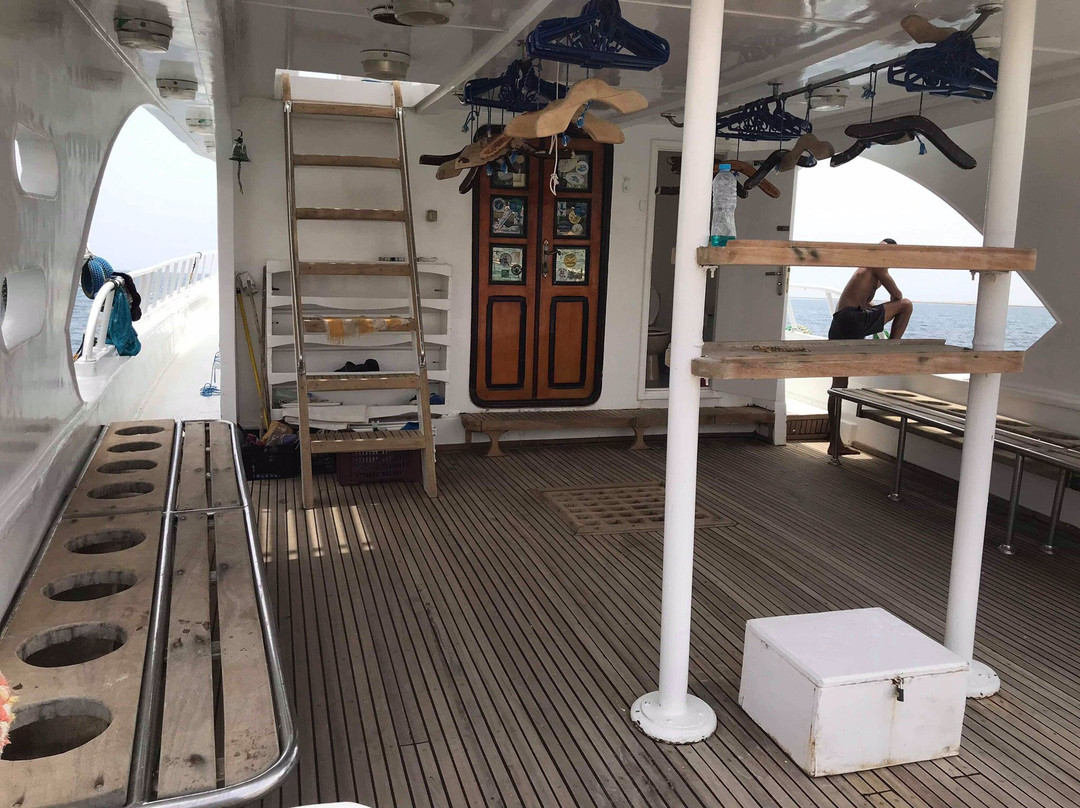 Barakuda Diving Center Safaga-Safaga必去景点