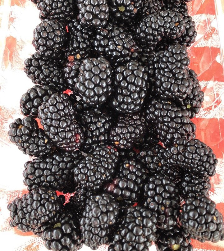 Drumheller's Orchard-Lovingston必去景点