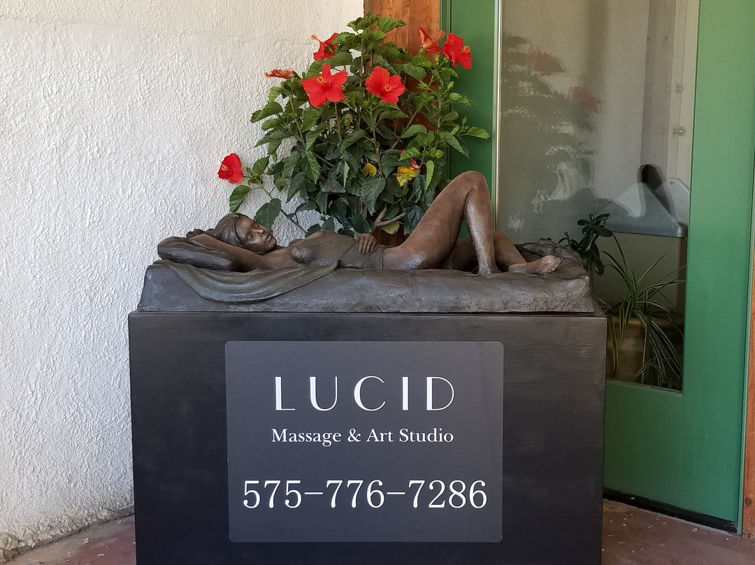 Lucid Massage and Art Studio景点图片