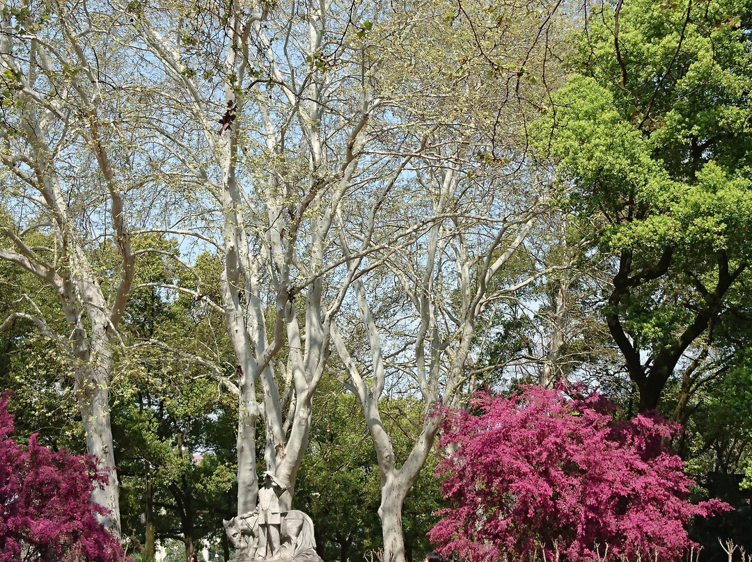 珞珈山-武汉市必去景点