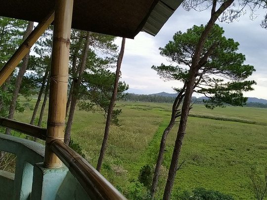 Keibul Lamjao National Park-Bishnupur District必去景点