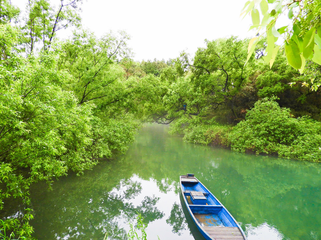 Niyodo River景点图片