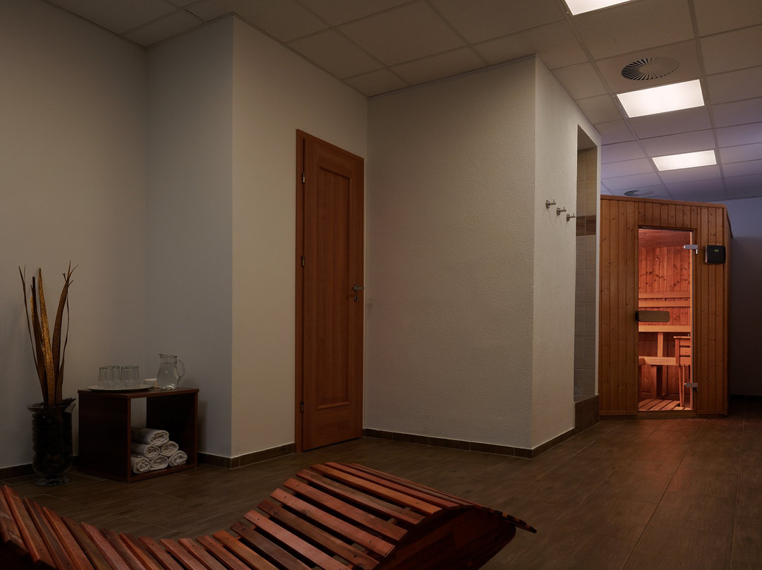 Wellness Hotel Luzan主图