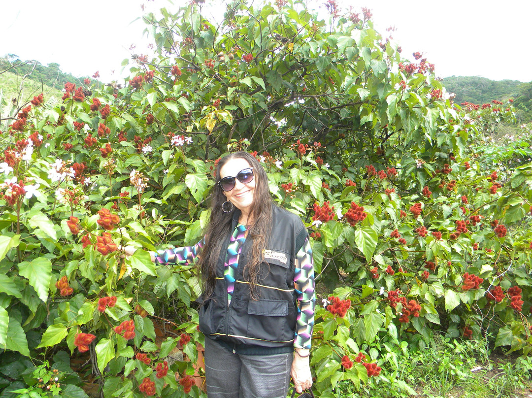 Cachoeira Ouricuri-Piloes必去景点