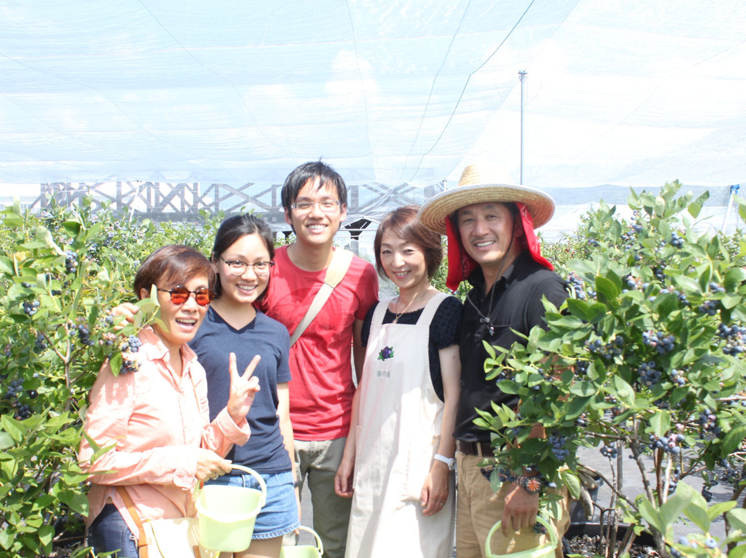 Morinohatake The Blueberry Farm-须坂市必去景点