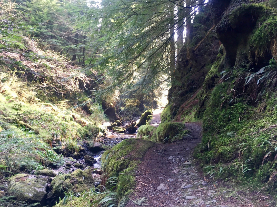 Argyll Forest Park-达农必去景点