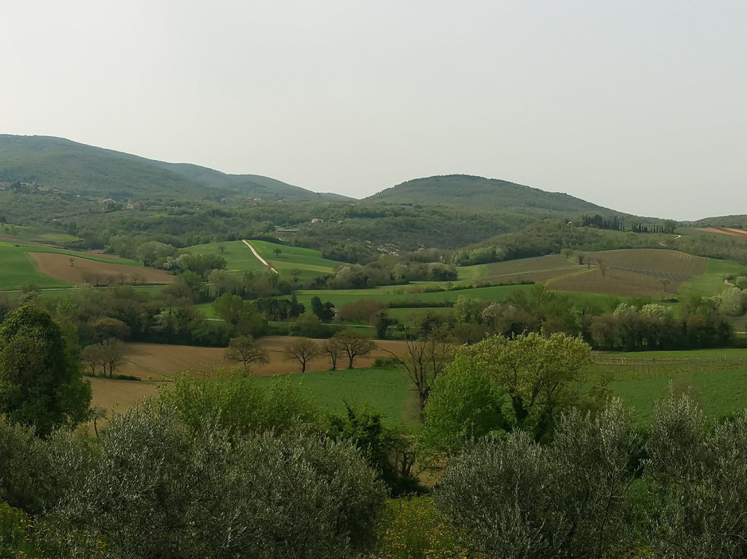 Agriturismo Perseo主图