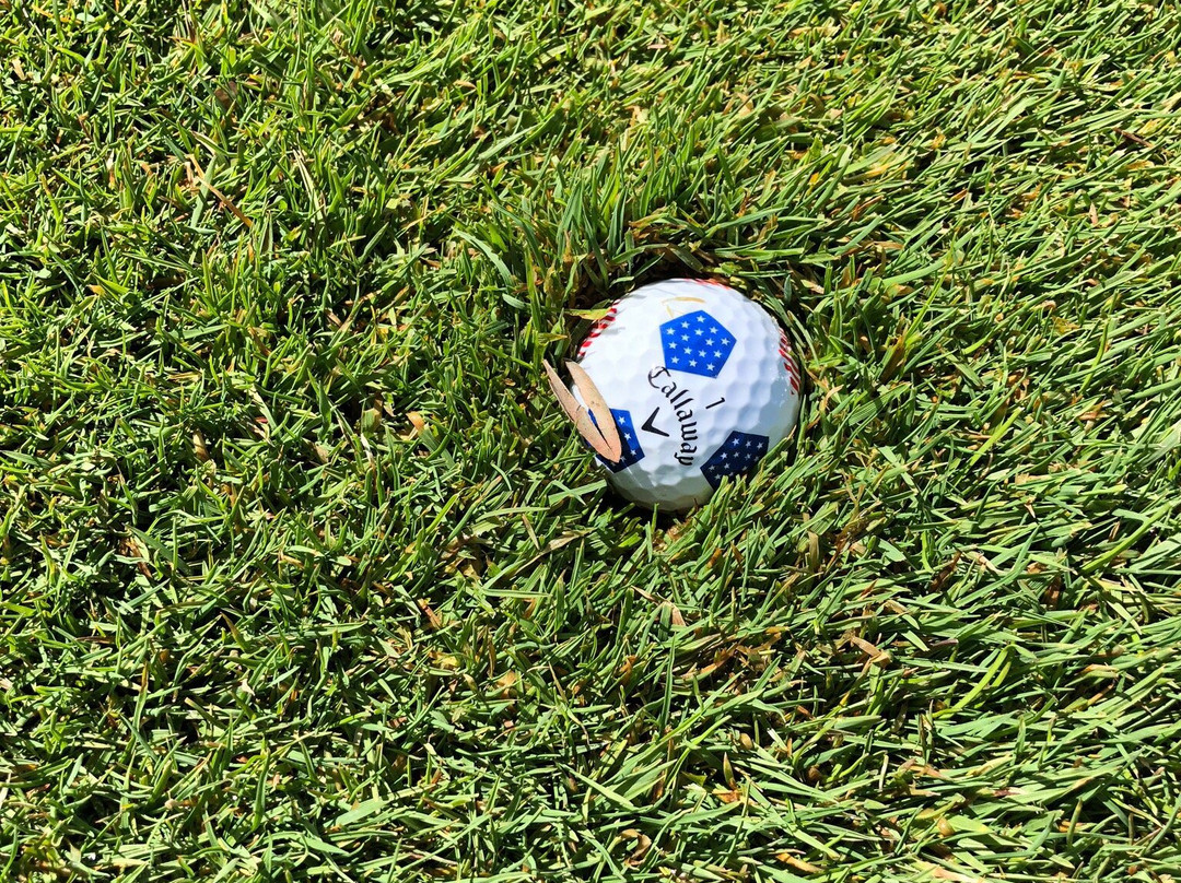 Tanglewood Golf Club-South Lyon必去景点