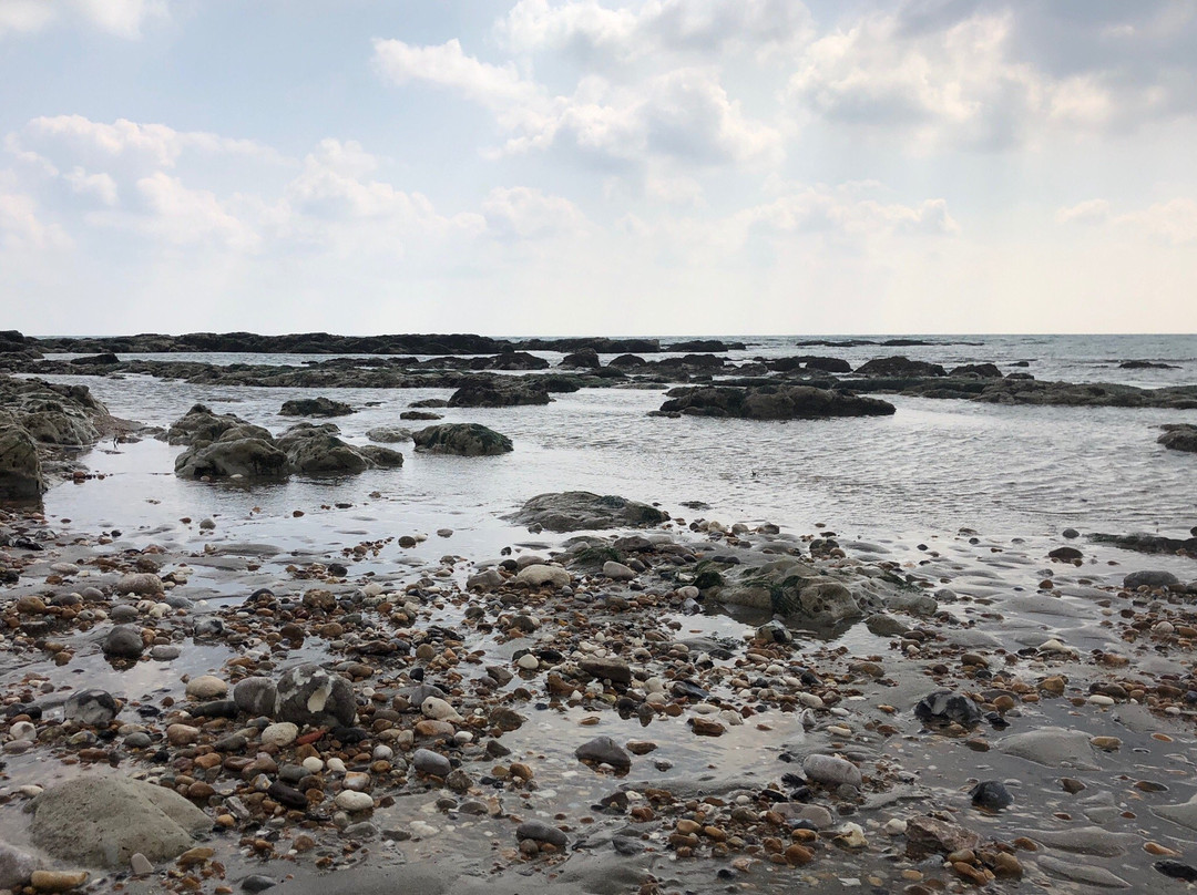 East Cliff and Warren Country Park-福克斯通必去景点