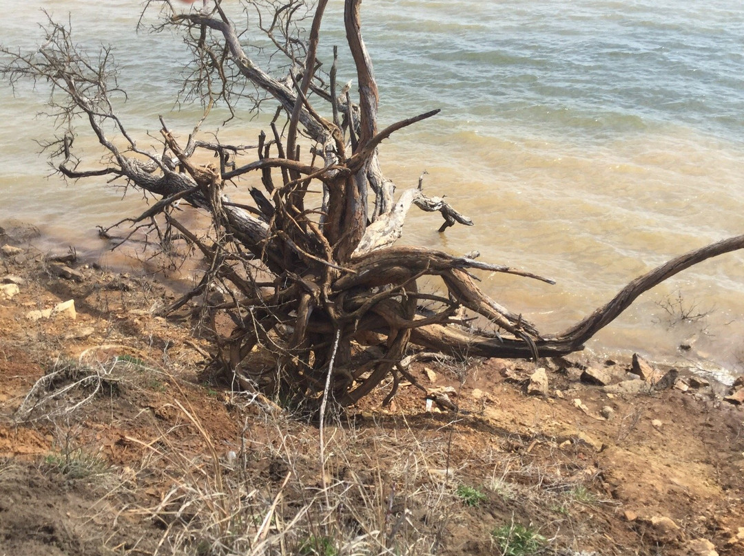 Clinton State Park-劳伦斯必去景点