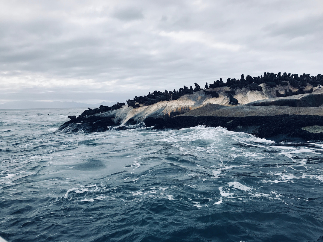 Cape Boat Charters-西门镇必去景点