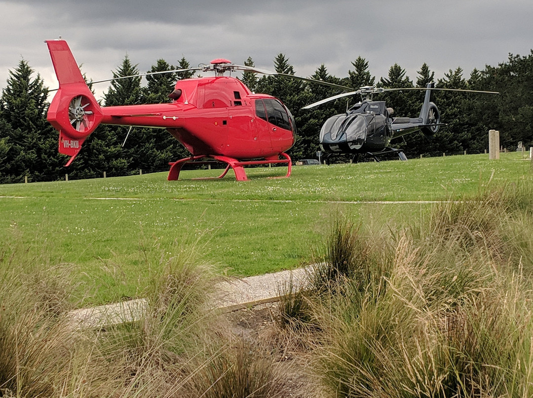 Yarra Valley Bus Tours-亚拉河谷必去景点