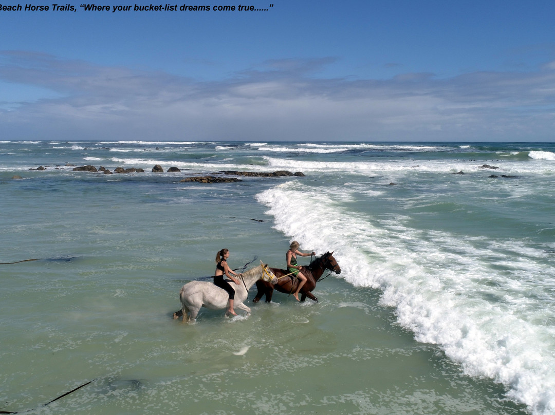Gansbaai & Pearly Beach Horse Trails-干斯拜必去景点