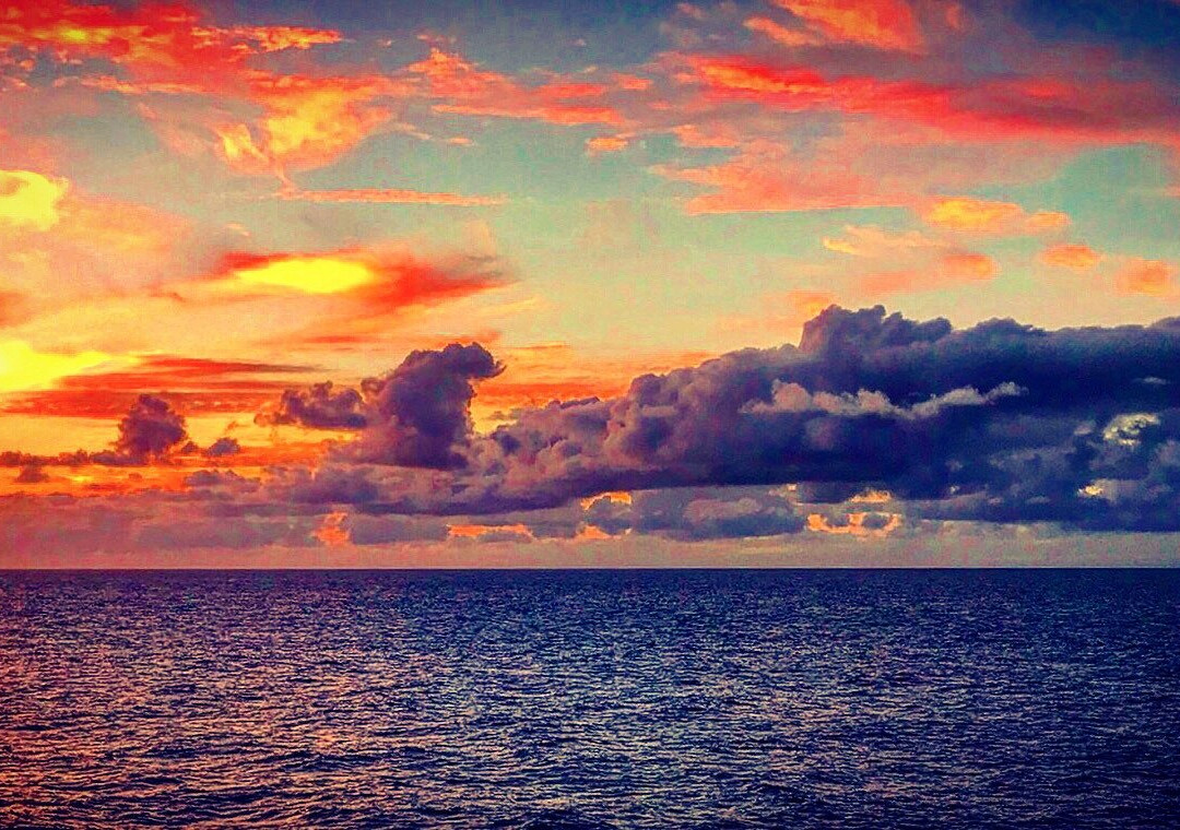 Tread Lightly Kauai Tours- Private Day Tours景点图片