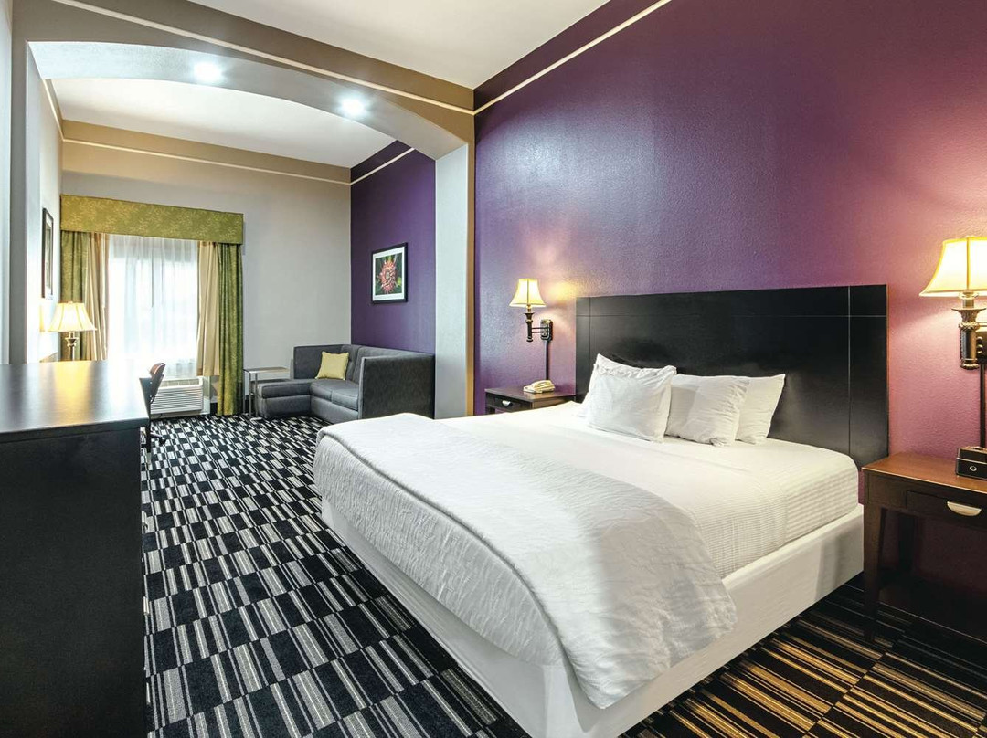 La Quinta Inn & Suites by Wyndham Alamo - McAllen East主图