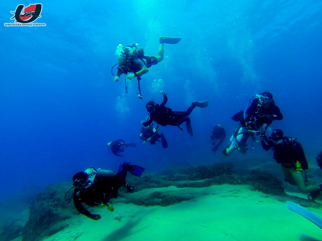 U-961 Scuba Diving Lebanon-Jounieh必去景点
