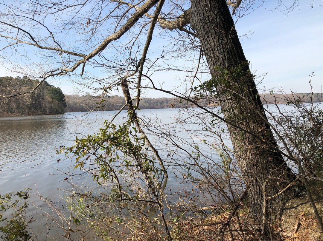 Lake Benson Park-Garner必去景点