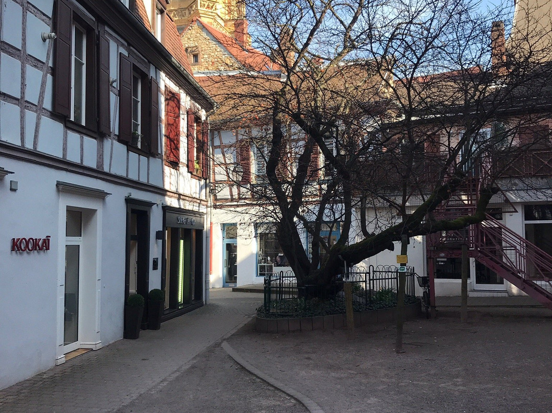 Arbre de Judée-科尔马必去景点
