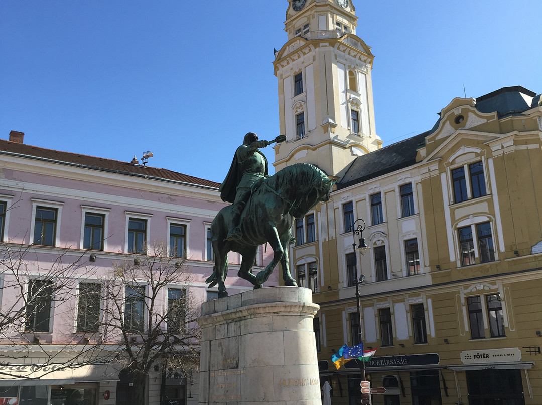 Statue of Hunyadi János景点图片