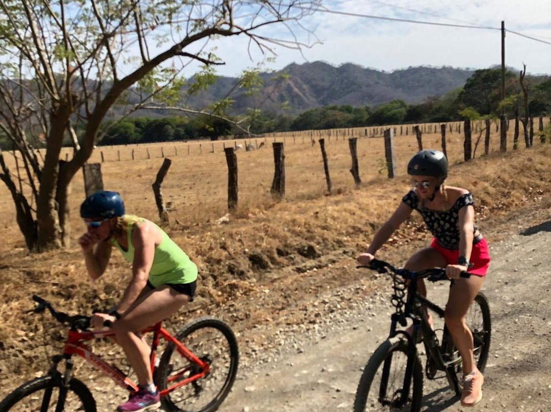 Tamarindo Bike Adventure Co.景点图片