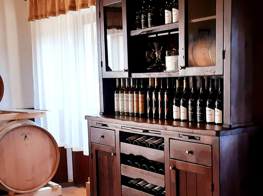 Moreno Ivancic Winery-诺维格拉德必去景点