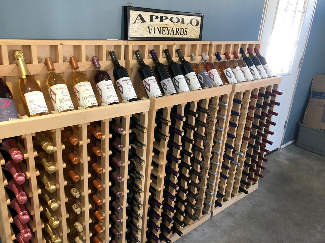 Appolo Vineyards景点图片
