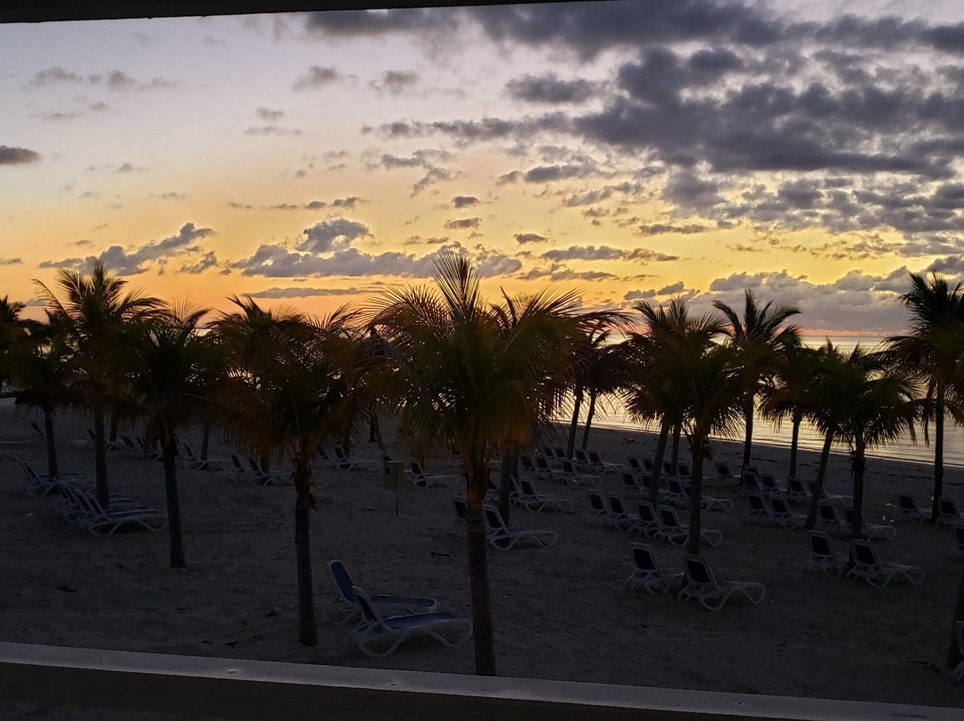 Grand Bahama Taxi Company-弗里波特必去景点