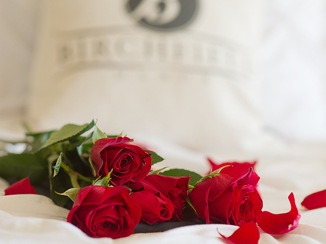 Birchfield Manor Inn and Restaurant主图