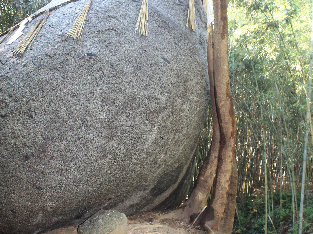 Kamiari Shrine景点图片