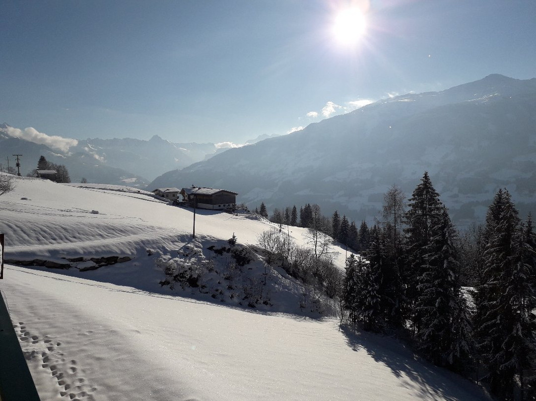 Gasthof Tannen - Alm主图