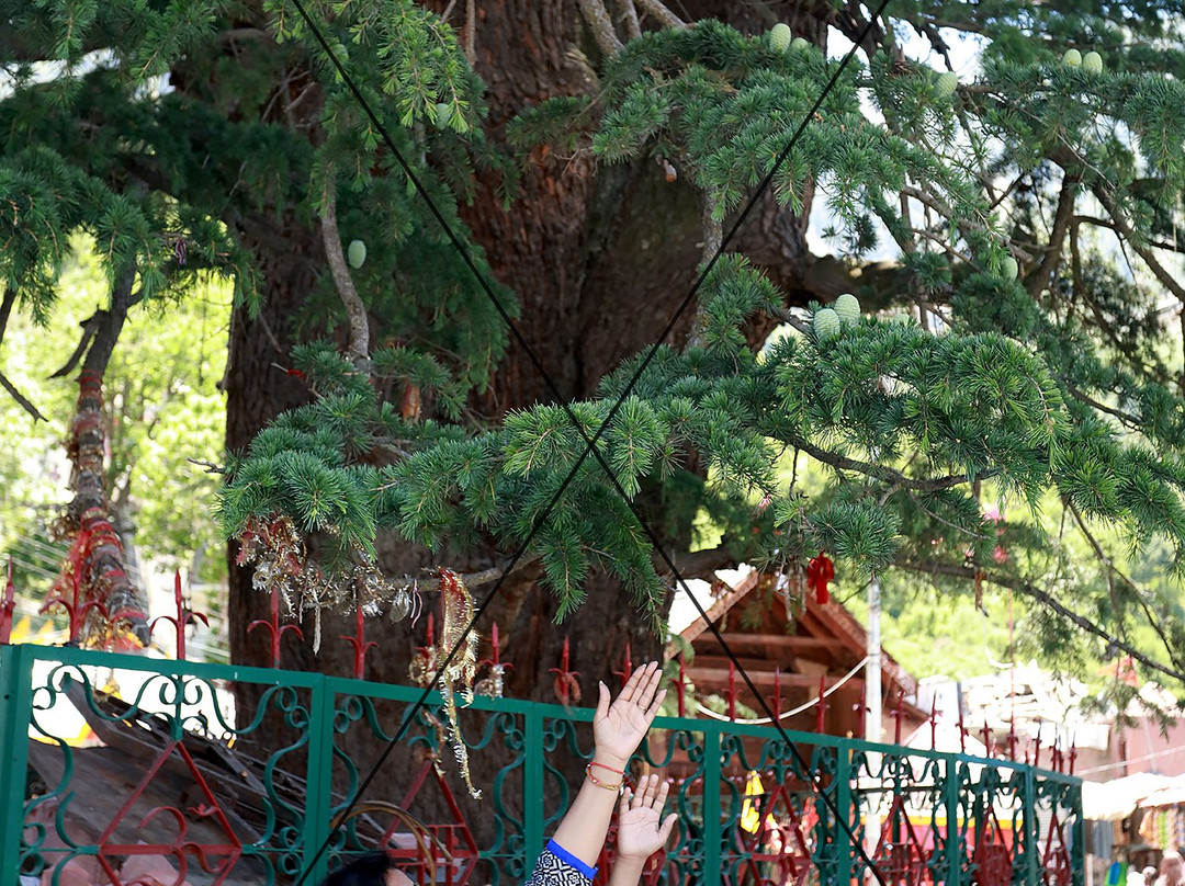 Chaurasi Temples Bharmour-Bharmour必去景点