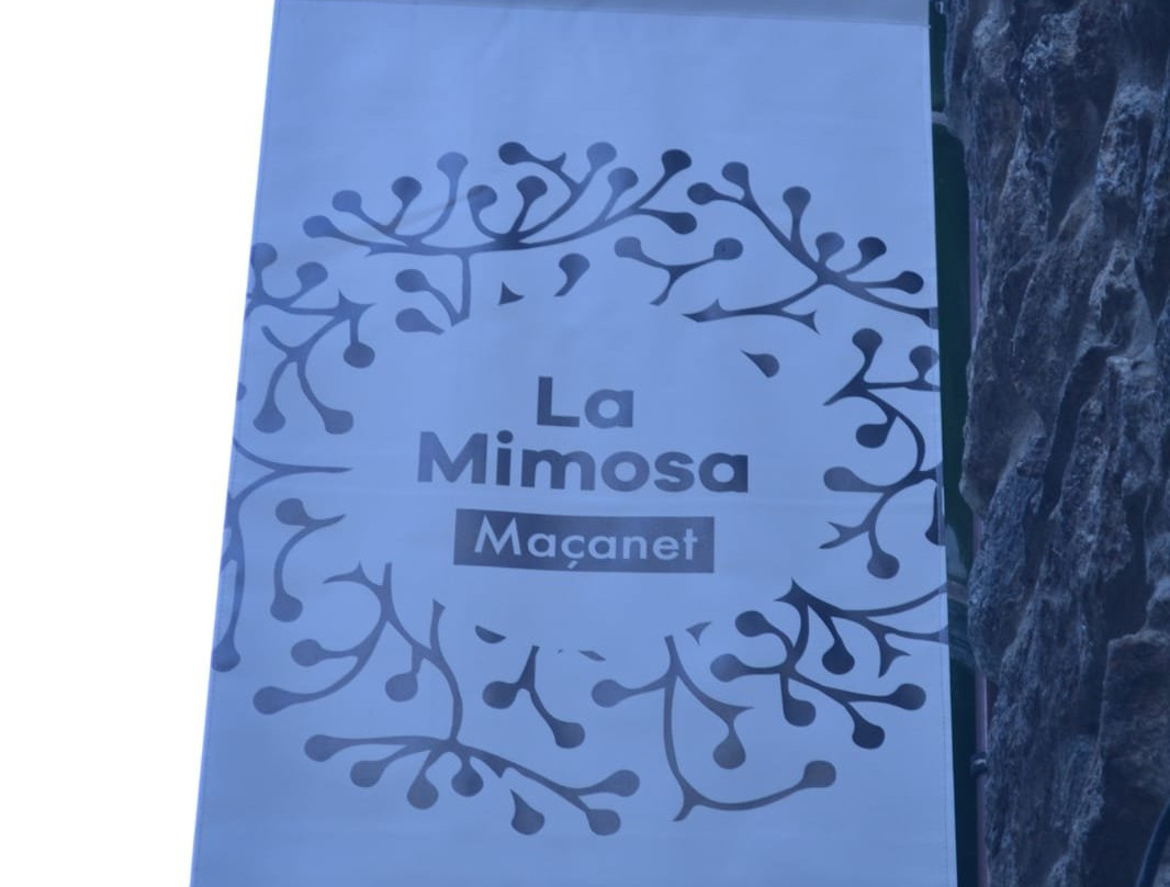 La Mimosa景点图片