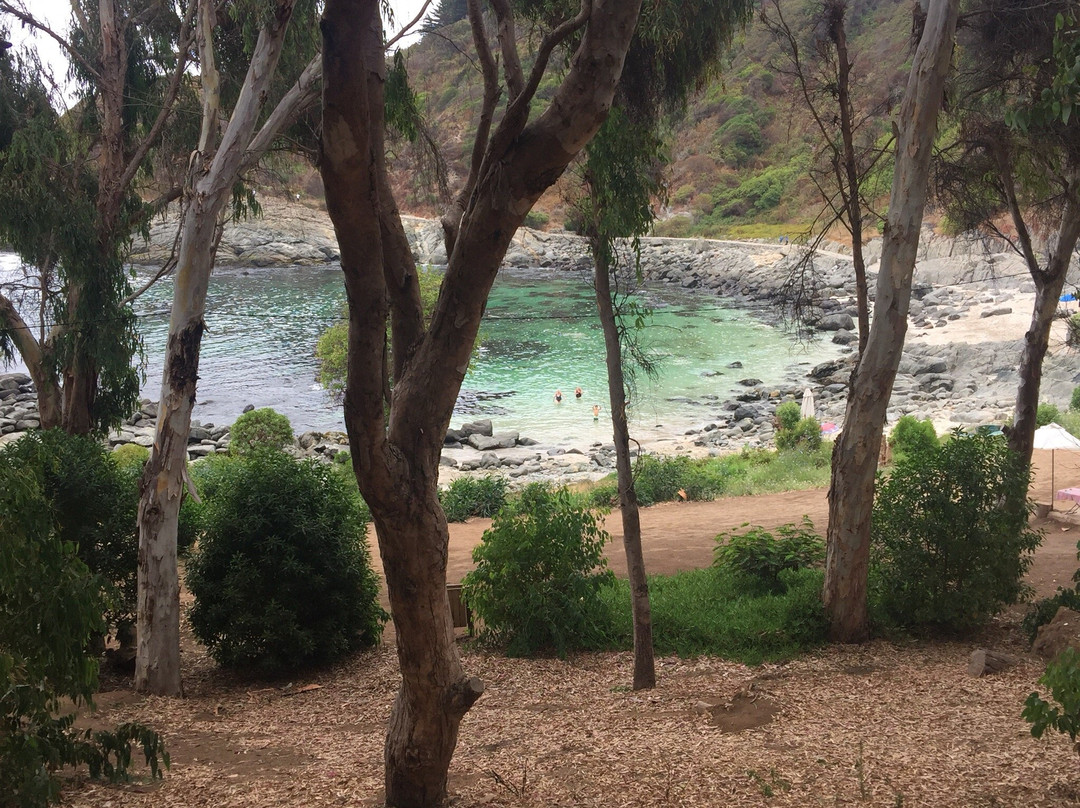 Playa Las Cujas-萨帕亚尔必去景点