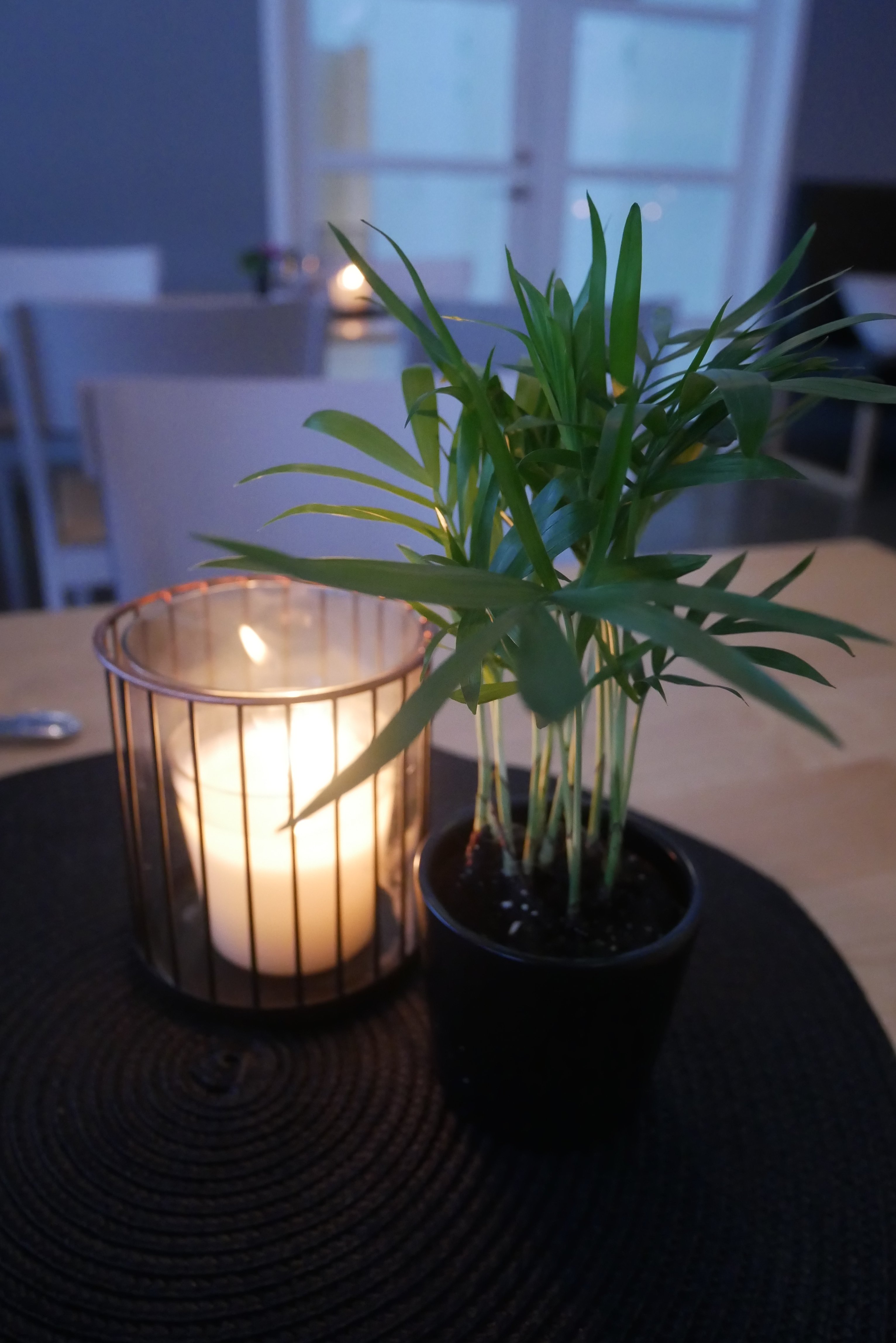 Marholmen-餐饮