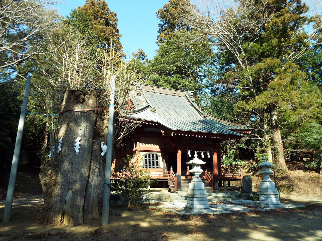 Yadoriki Shrine景点图片