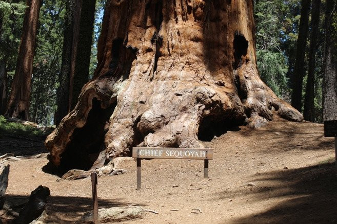 Chief Sequoyah-Three Rivers必去景点