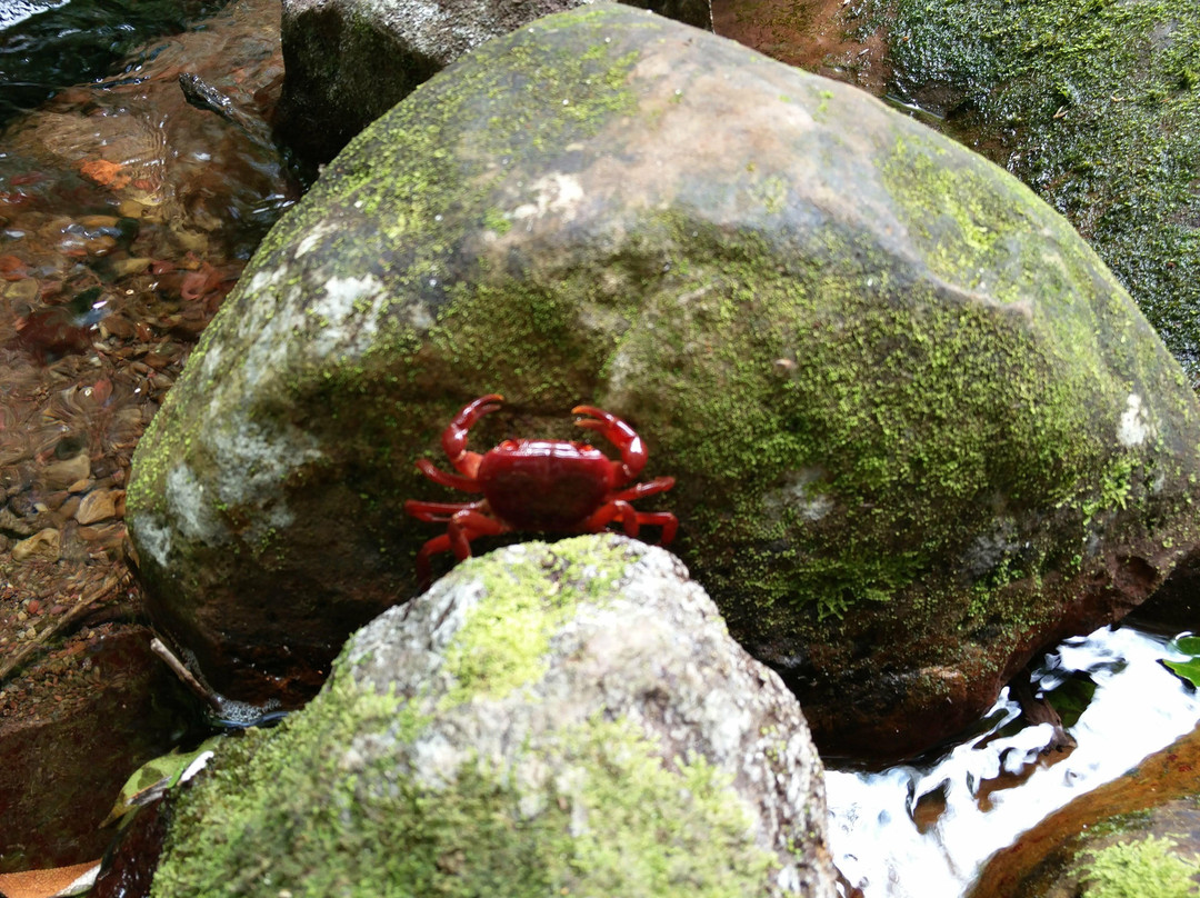 The Vulture Trail-柏维必去景点