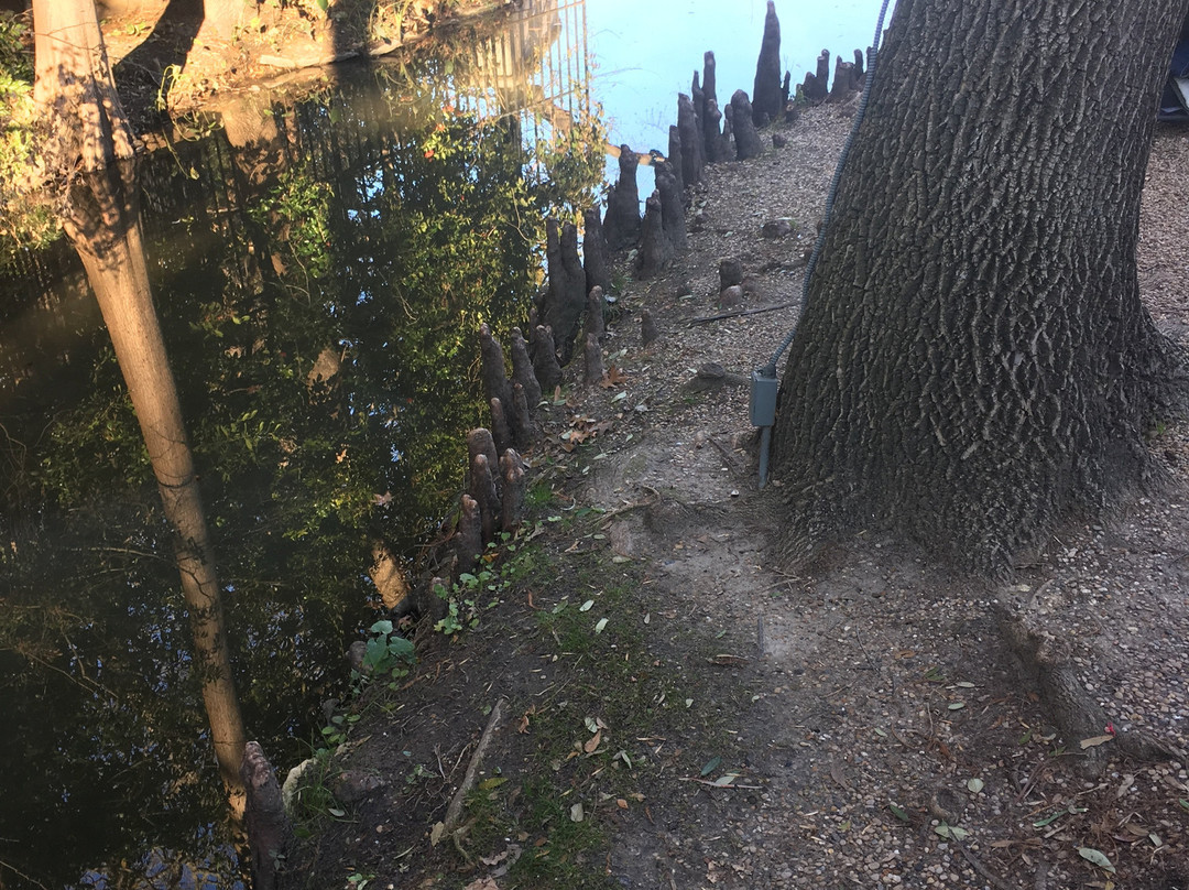 Lakeside Park-Highland Park必去景点