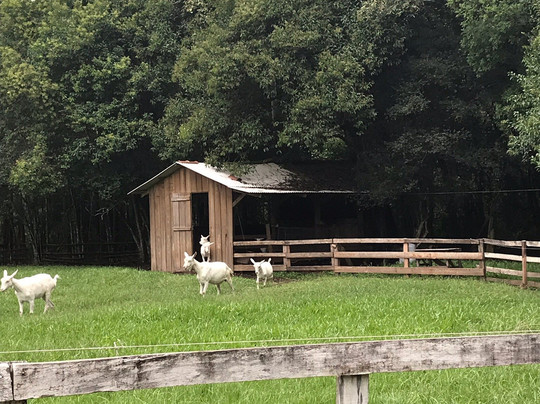 Queijaria e Loja Nova Alemanha-Ivoti必去景点