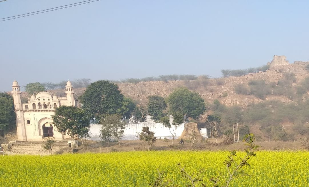 Tomb Of Sheikh Musa景点图片