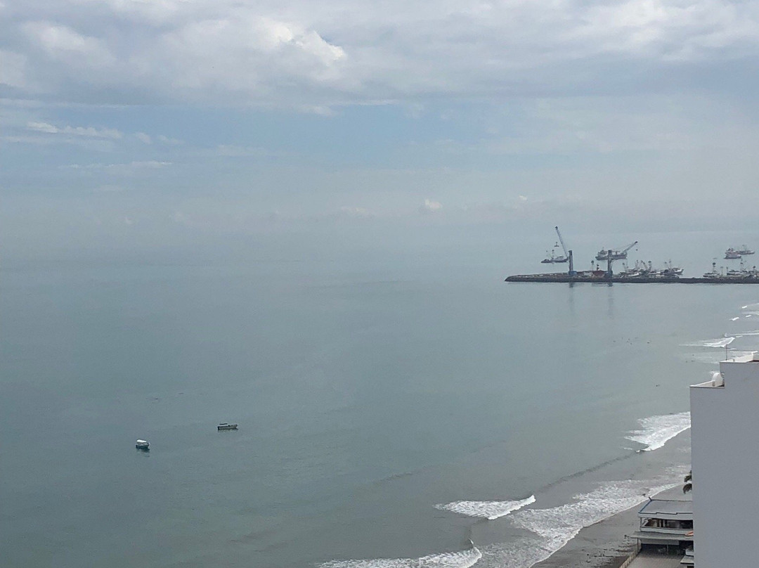 Gringo on the Beach主图