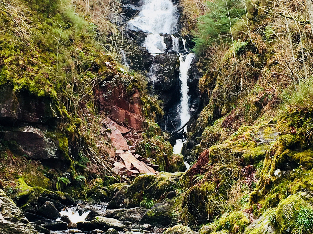 Queen Elizabeth Forest Park-洛蒙德湖与特罗萨克斯山国家公园必去景点