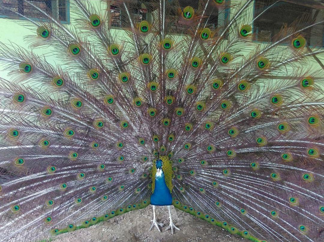 Hotel Fazenda Serra Castellana主图
