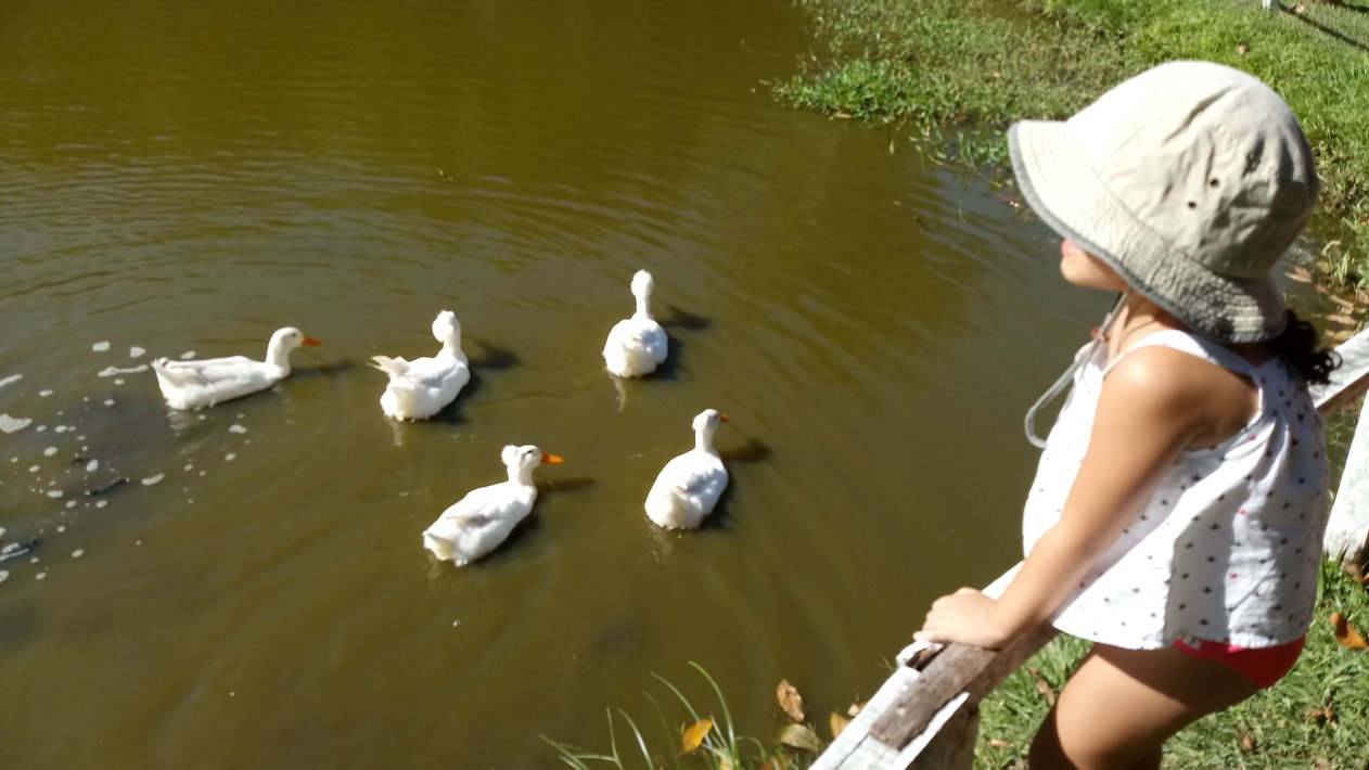 Hotel Fazenda Vale Encantado-浴室
