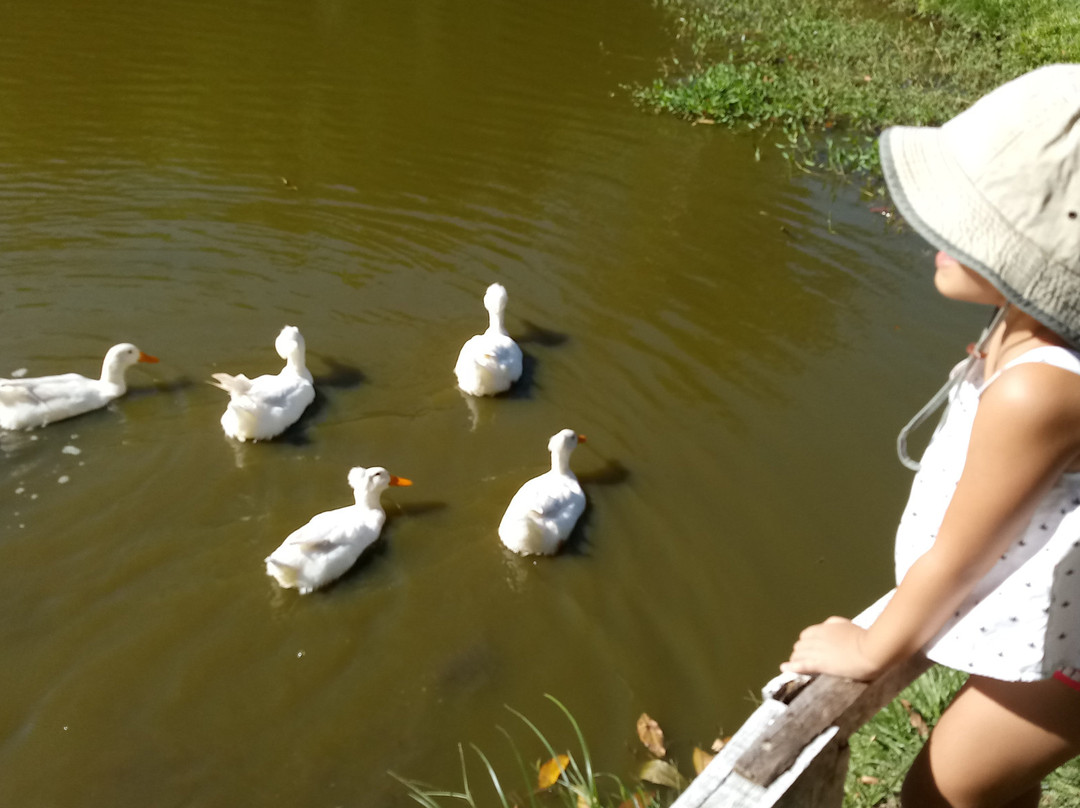 Hotel Fazenda Vale Encantado主图