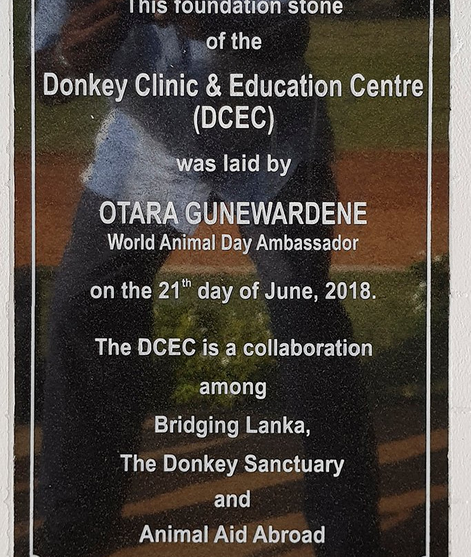 Donkey Clinic and Education Center景点图片