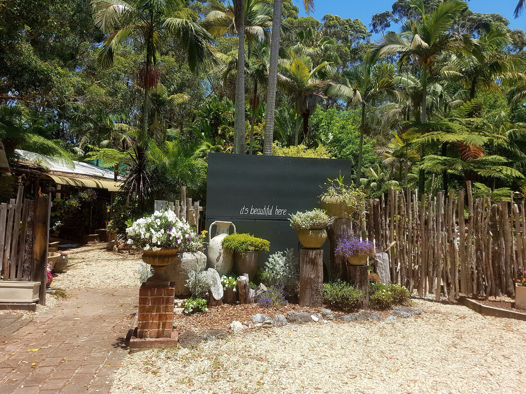 Treehouse Retreat at Diamond Waters主图