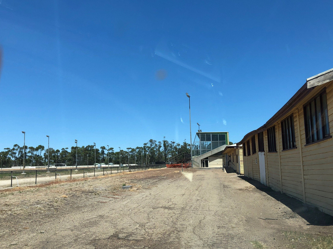 Horsham Greyhound Racing Complex-霍舌姆必去景点