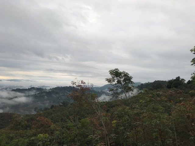 Wat Thep Nimit-清孔必去景点